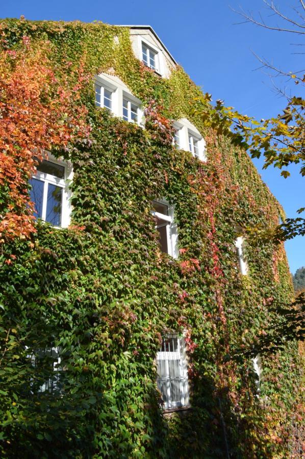 Burg Schoena Schmilka Esterno foto
